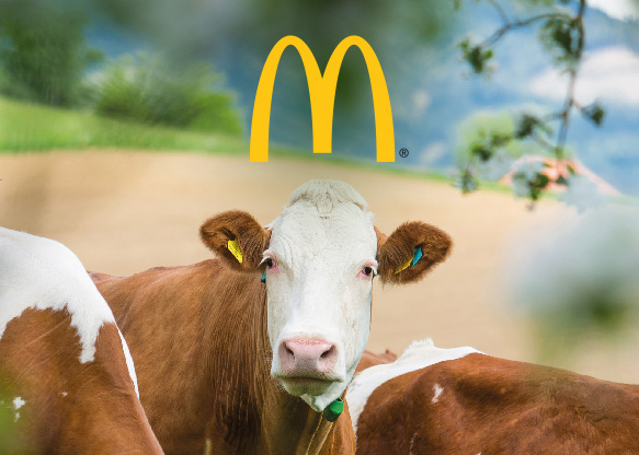mac_Vorschau
